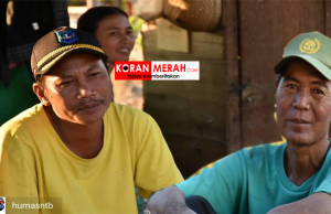 korban gempa makan serabut kelapa