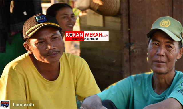 korban gempa makan serabut kelapa